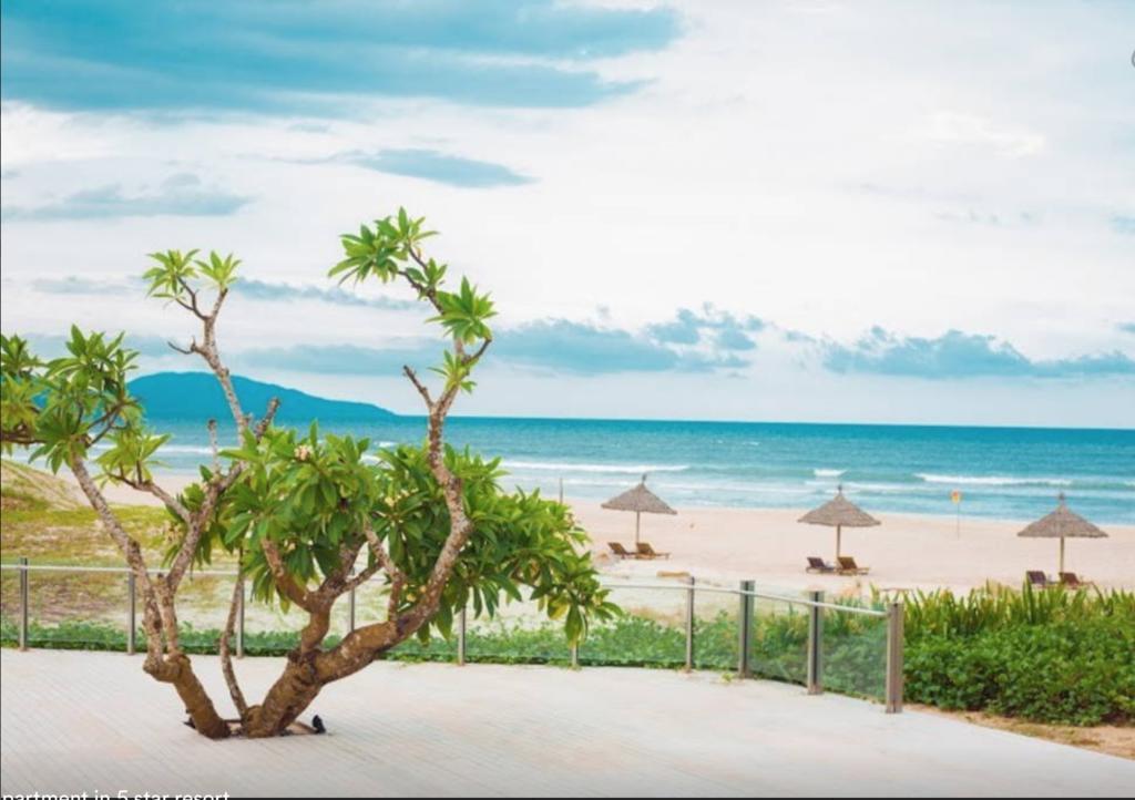Căn hộ Ocean